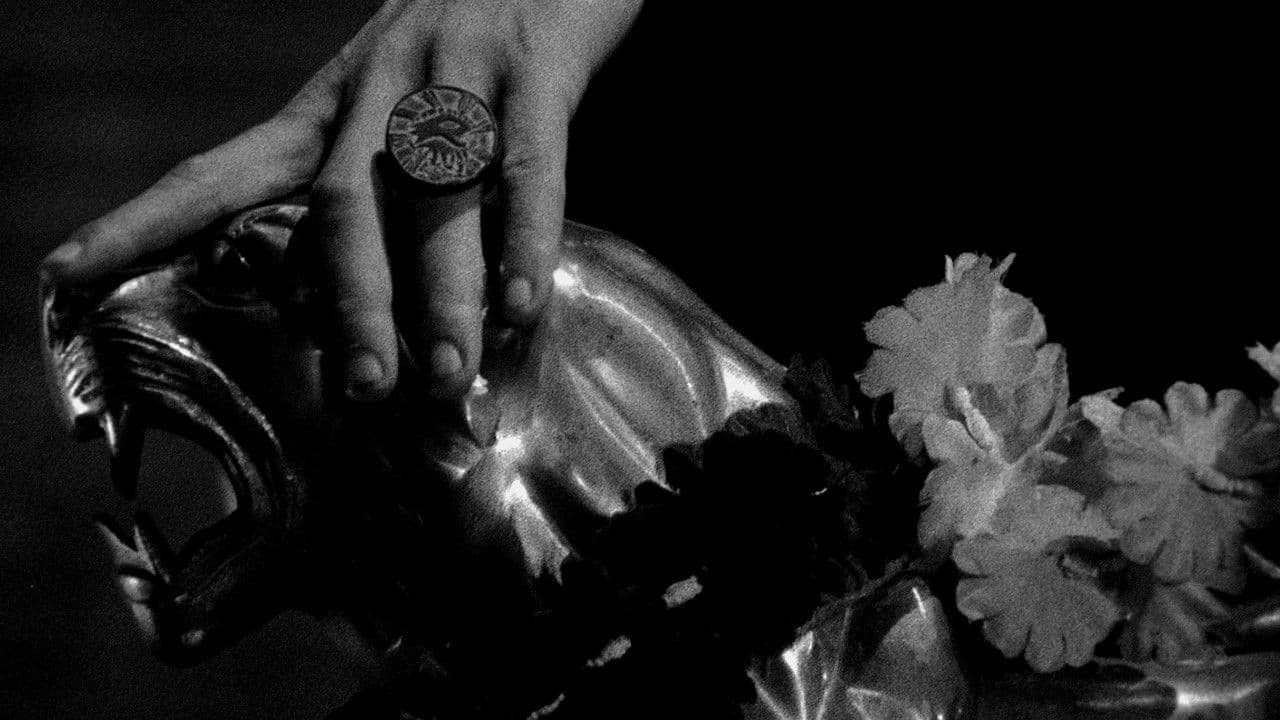 Poster backdrop for Our Friend the Moon