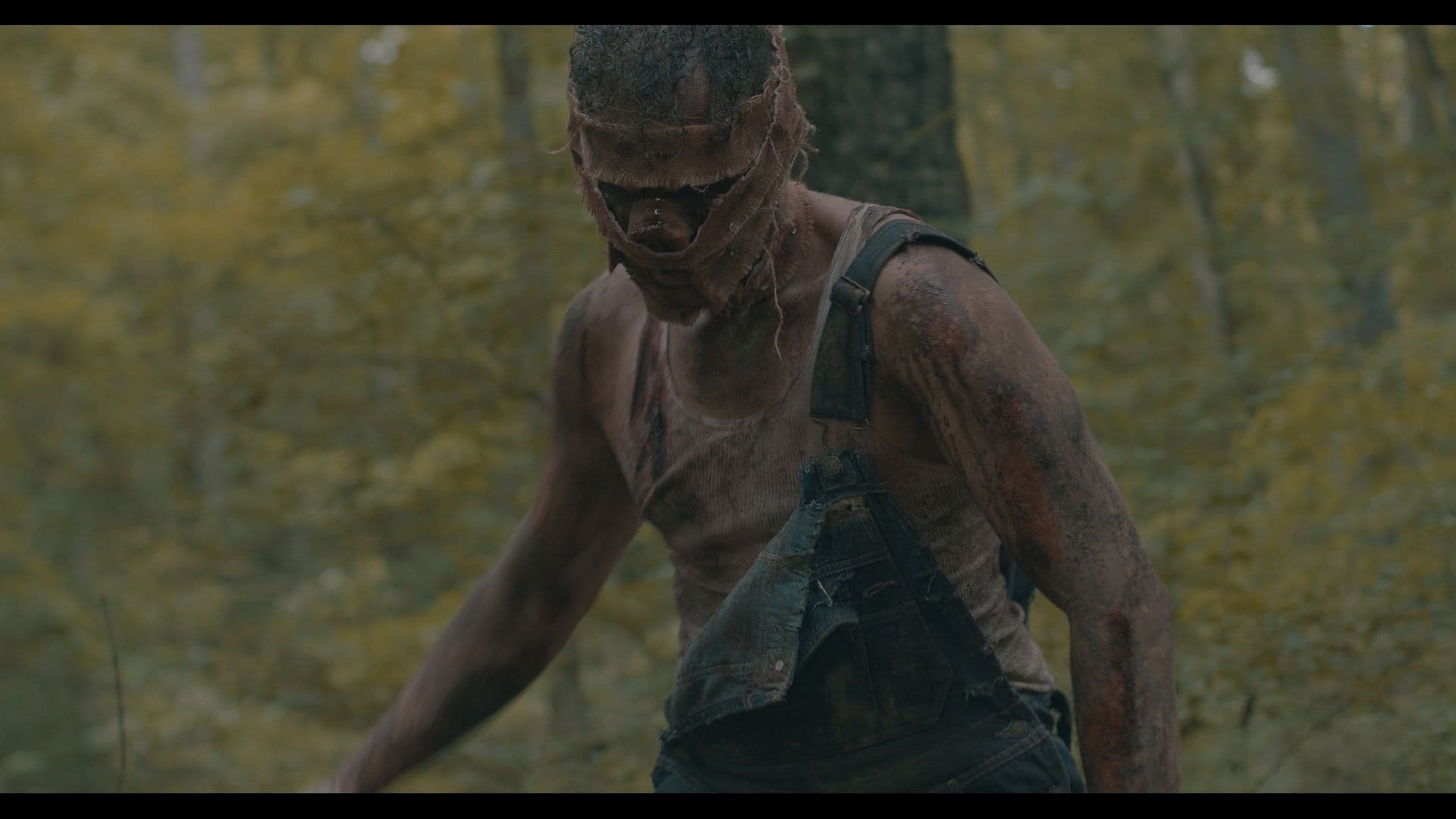 Poster backdrop for Piglet Rising