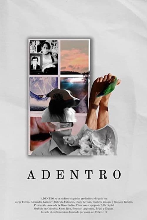Poster backdrop for Adentro