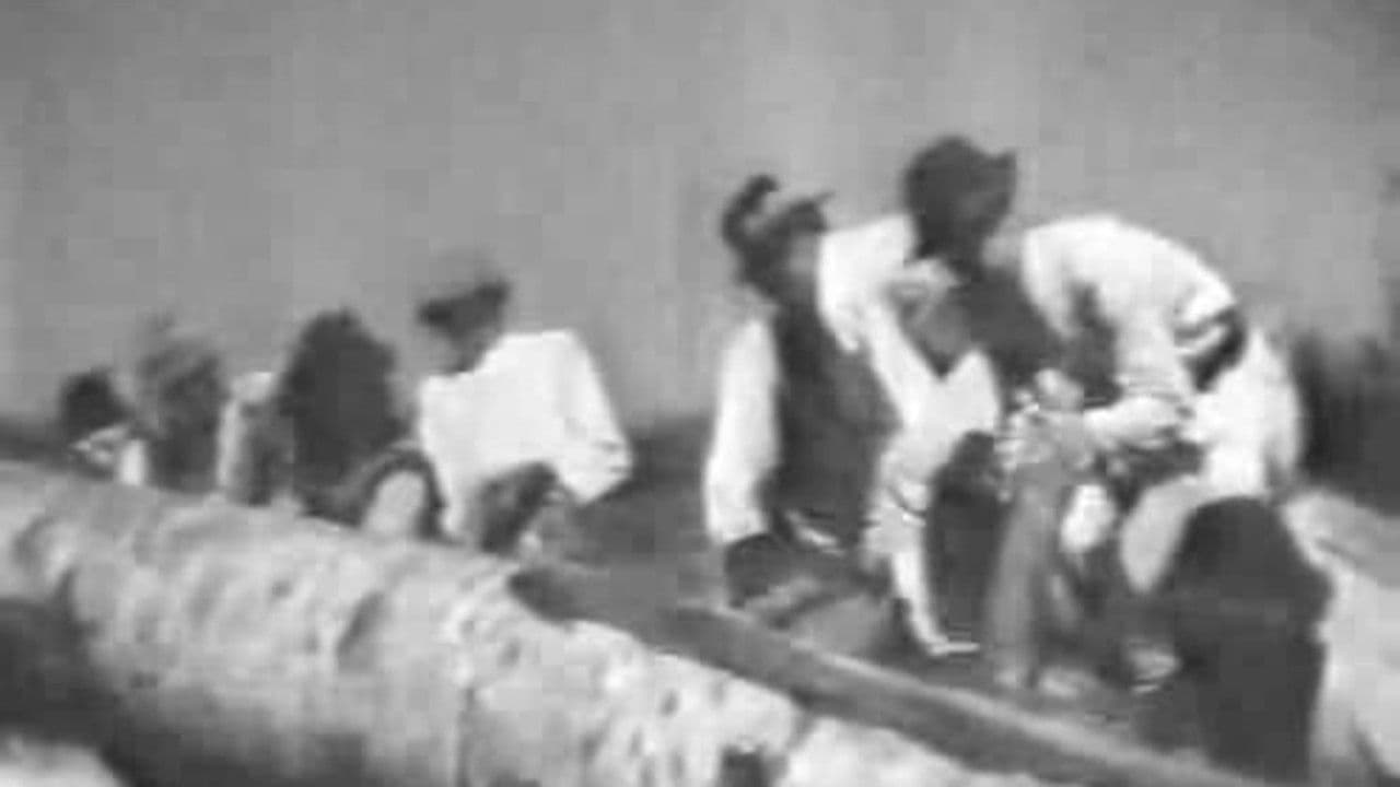 Poster backdrop for Bukovyna, Ukrainian Land