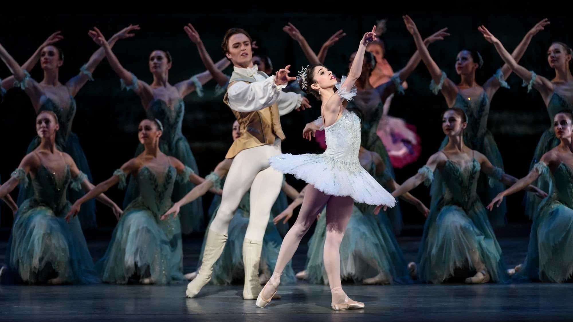 Poster backdrop for The Sleeping Beauty