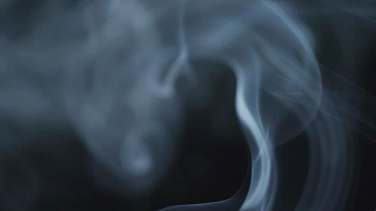 Poster backdrop for The Cannabis Question