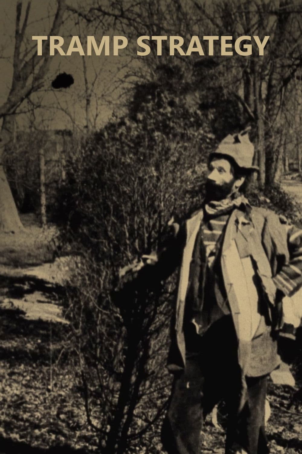 Poster backdrop for Tramp Strategy