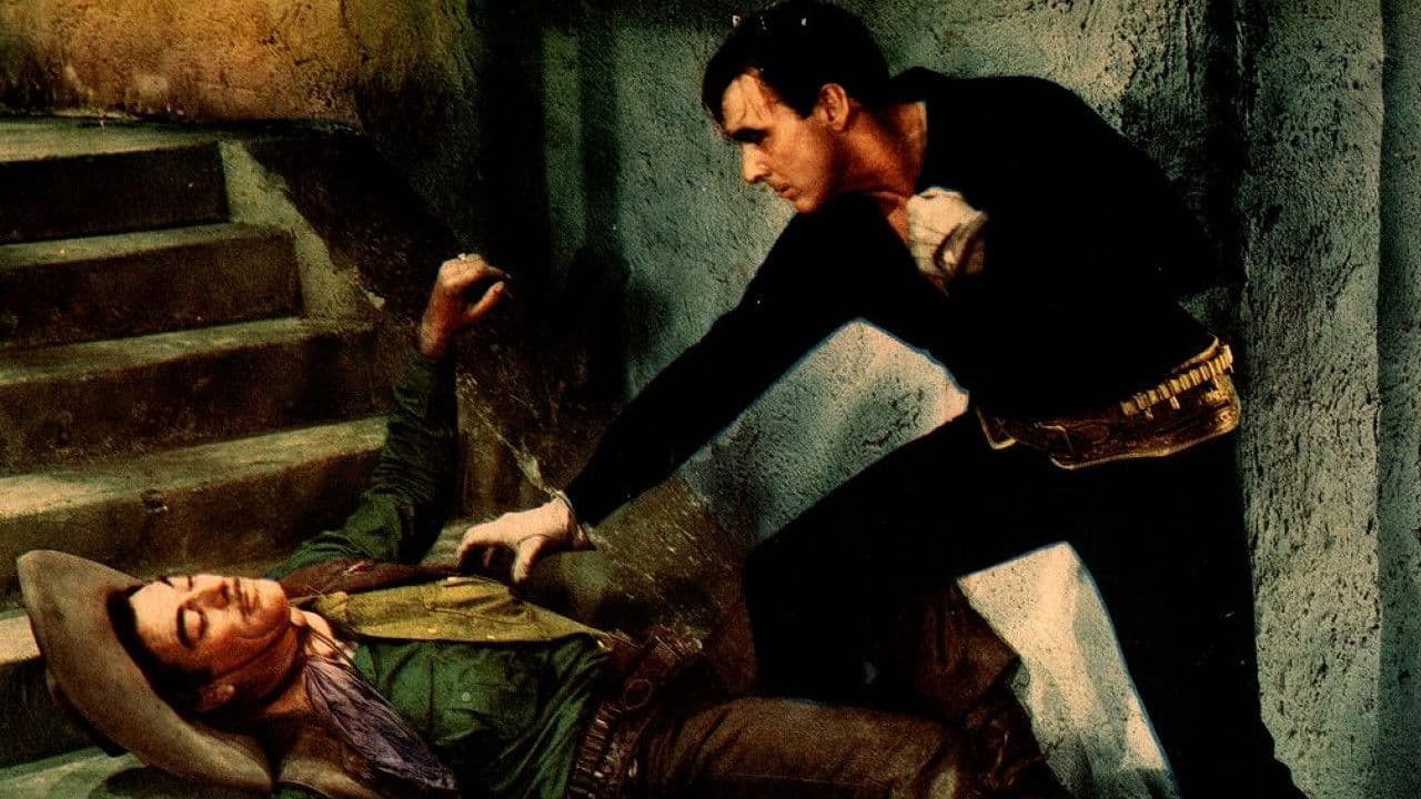 Poster backdrop for The Fighting Gringo