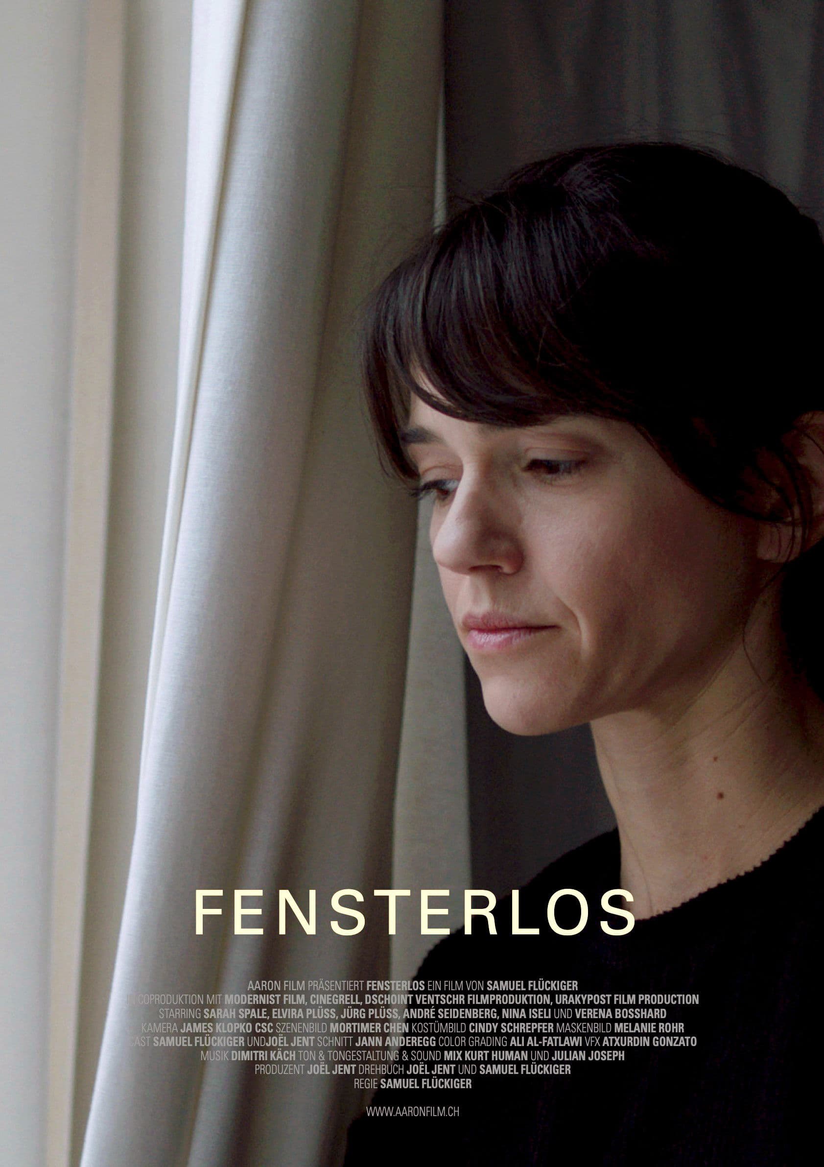 Poster backdrop for Fensterlos