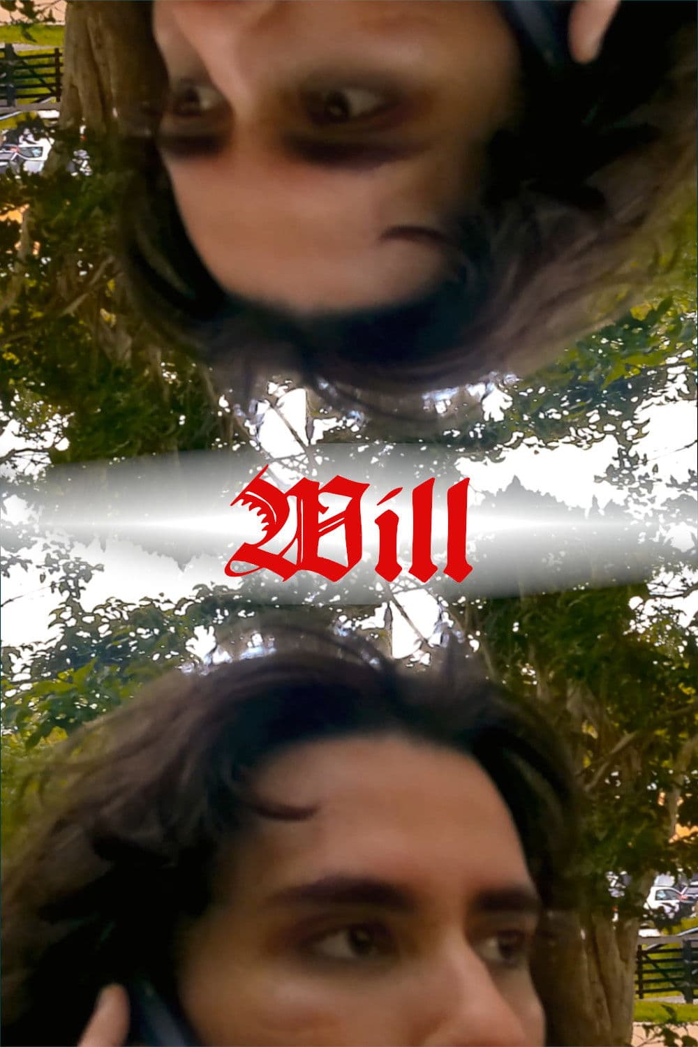 Poster backdrop for Will