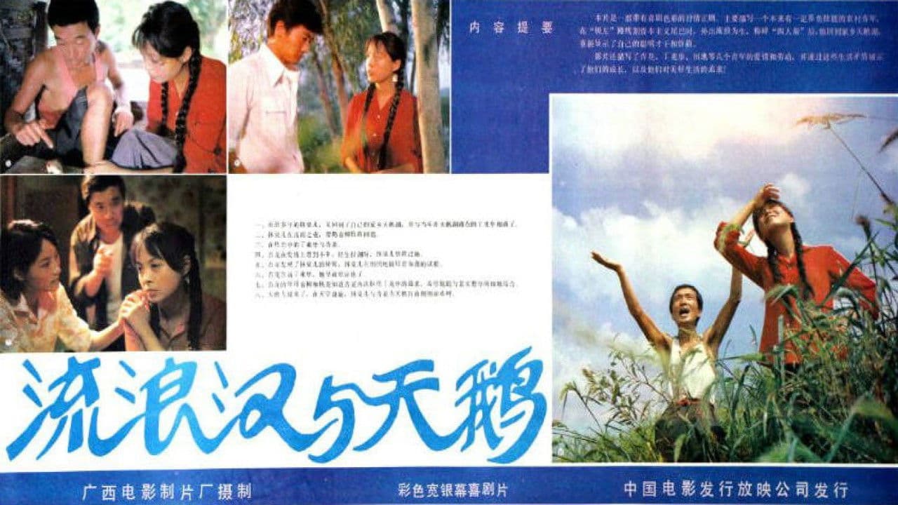 Poster backdrop for 流浪汉与天鹅