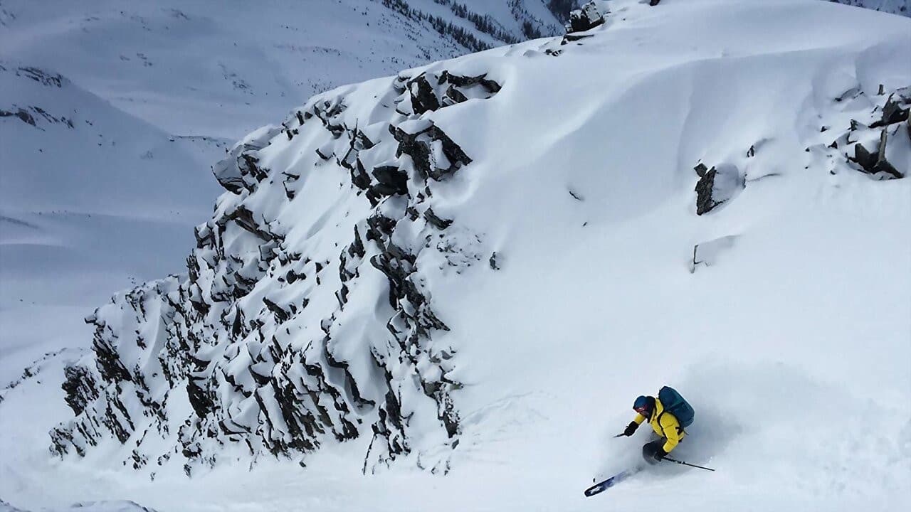 Poster backdrop for Finding the Line