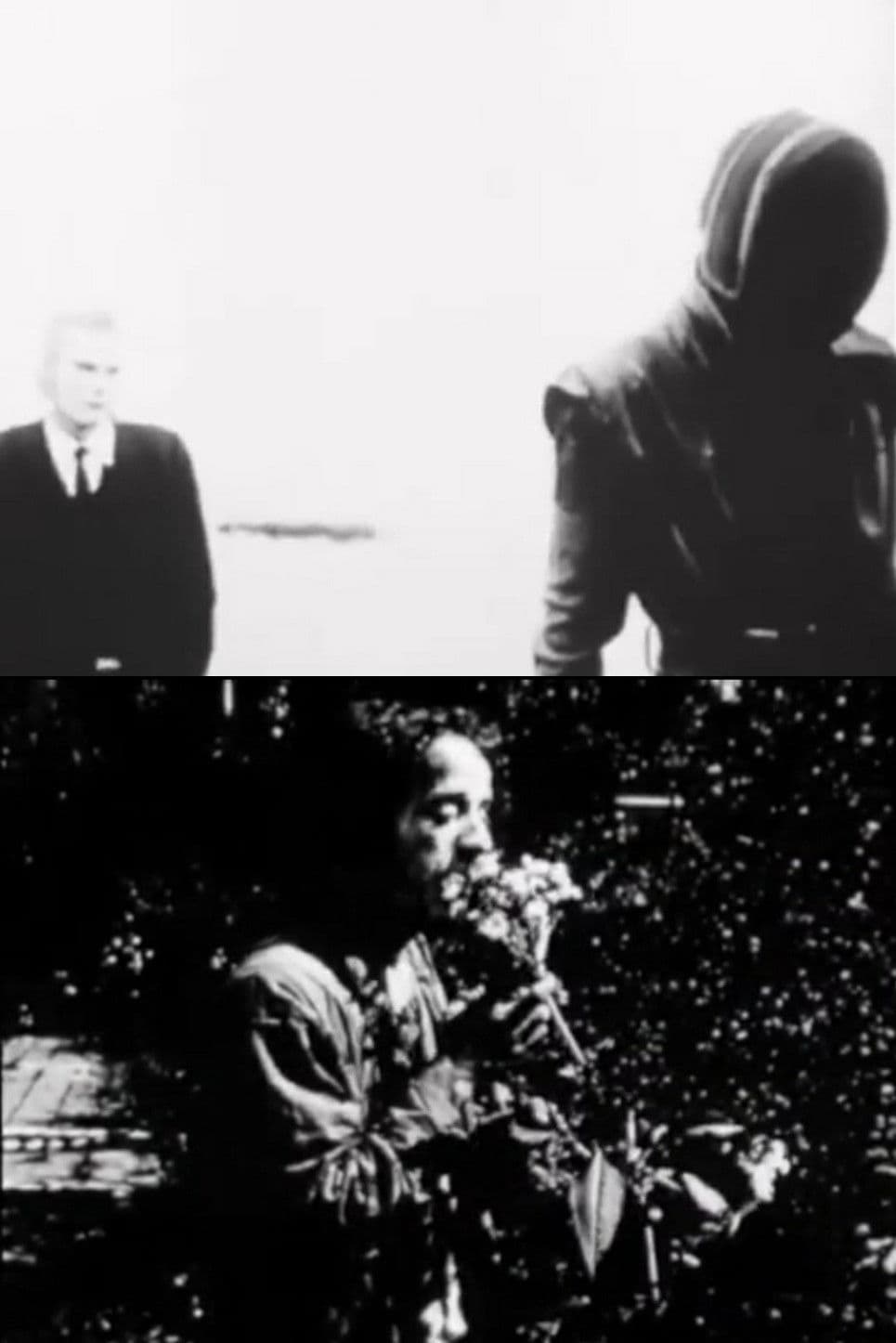 Poster backdrop for Mal-ander