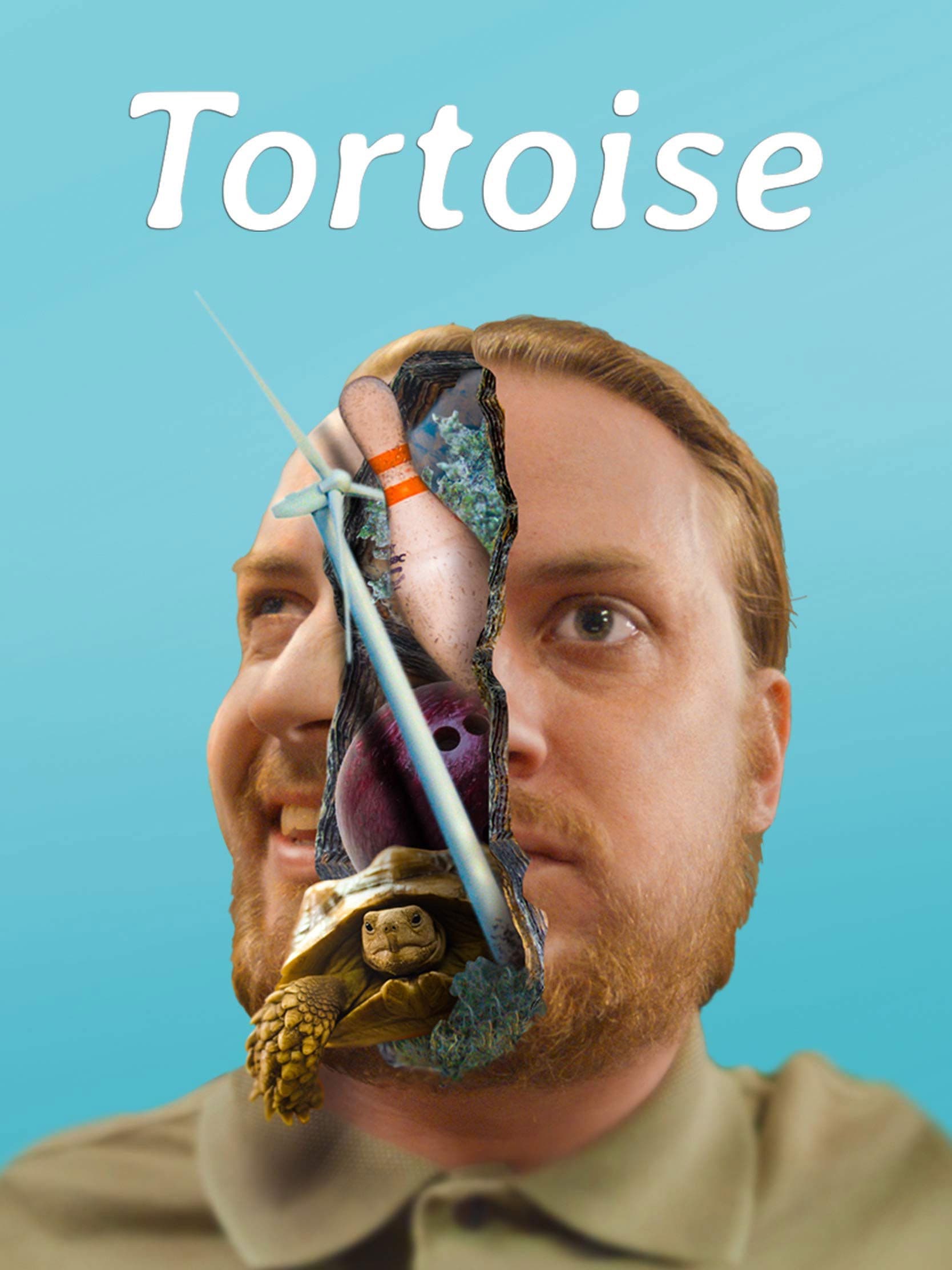 Poster backdrop for Tortoise