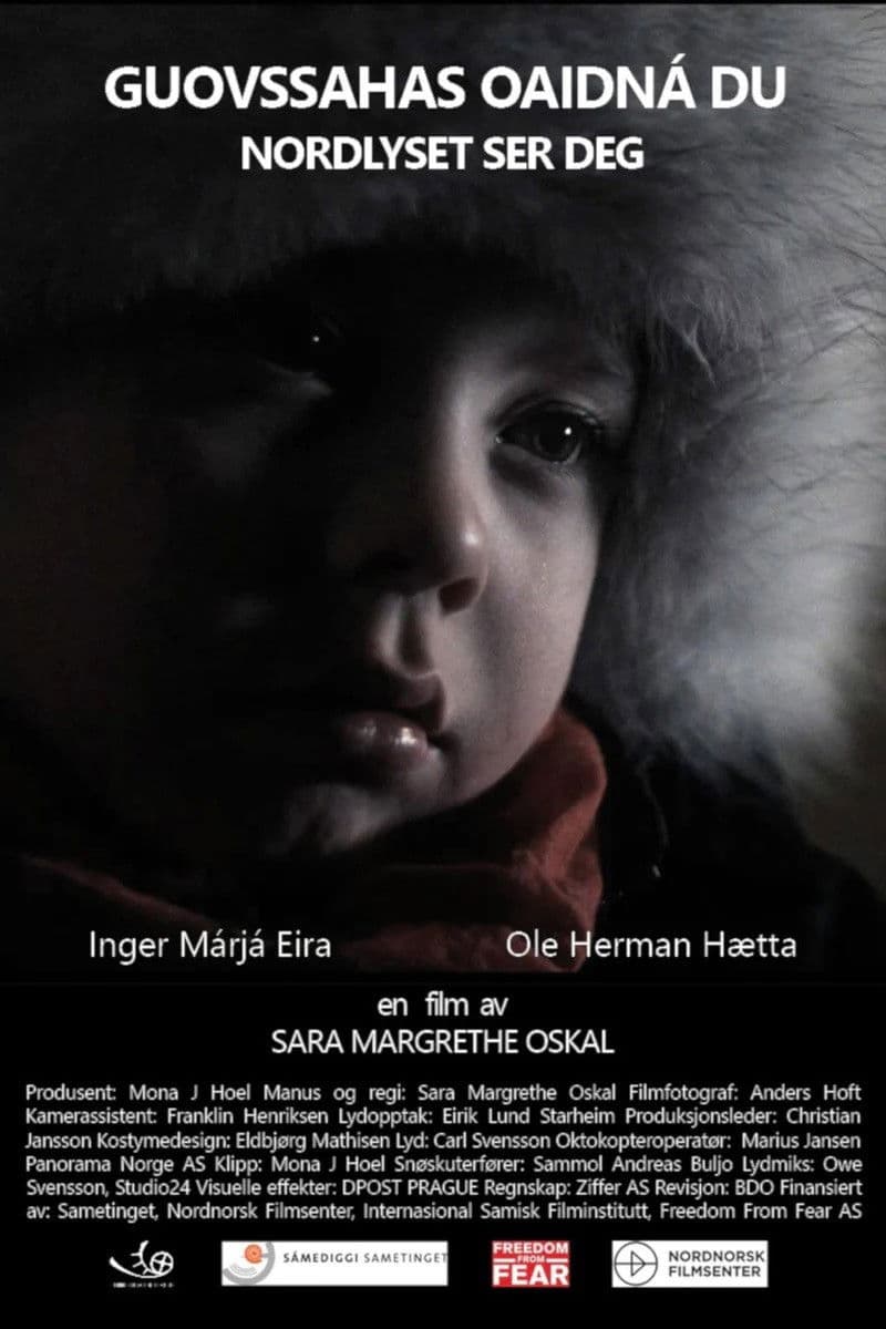 Poster backdrop for Aurora Keeps an Eye On You