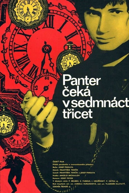 Poster backdrop for Panter čeká v 17,30