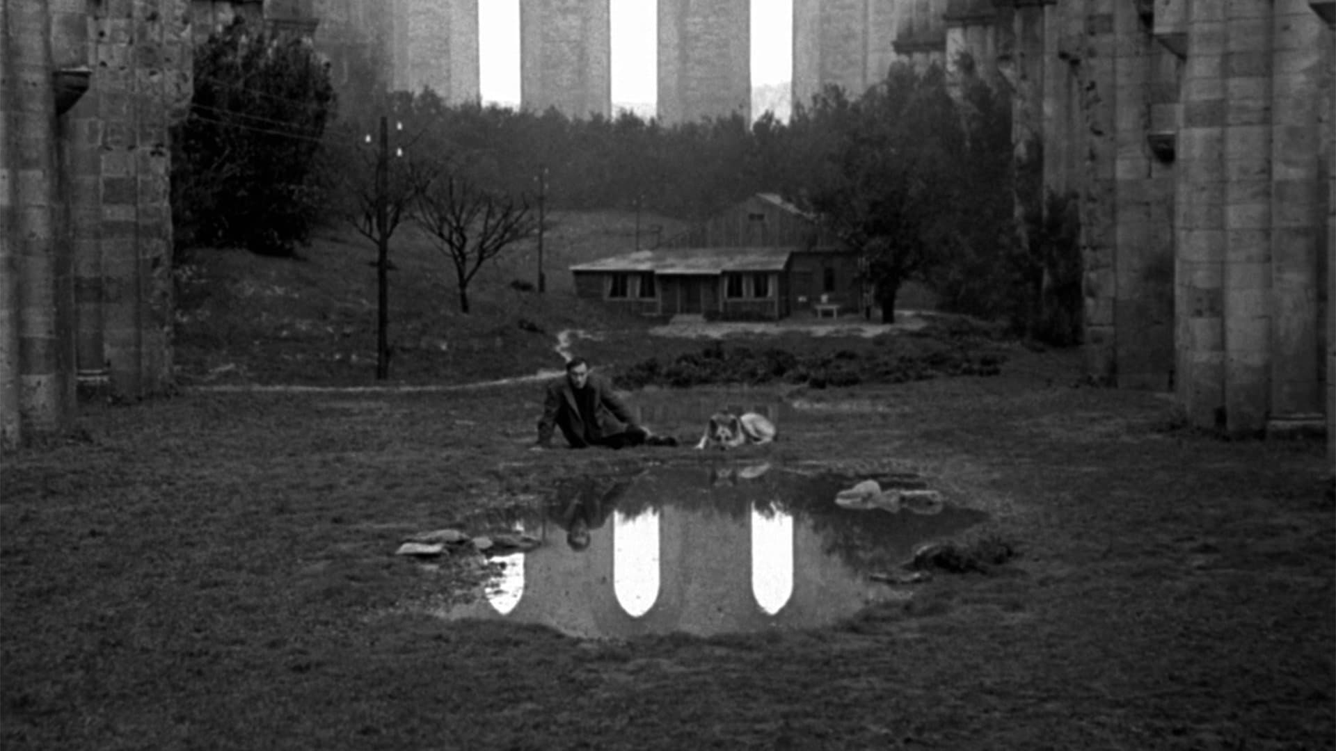 Poster backdrop for Nostalgia