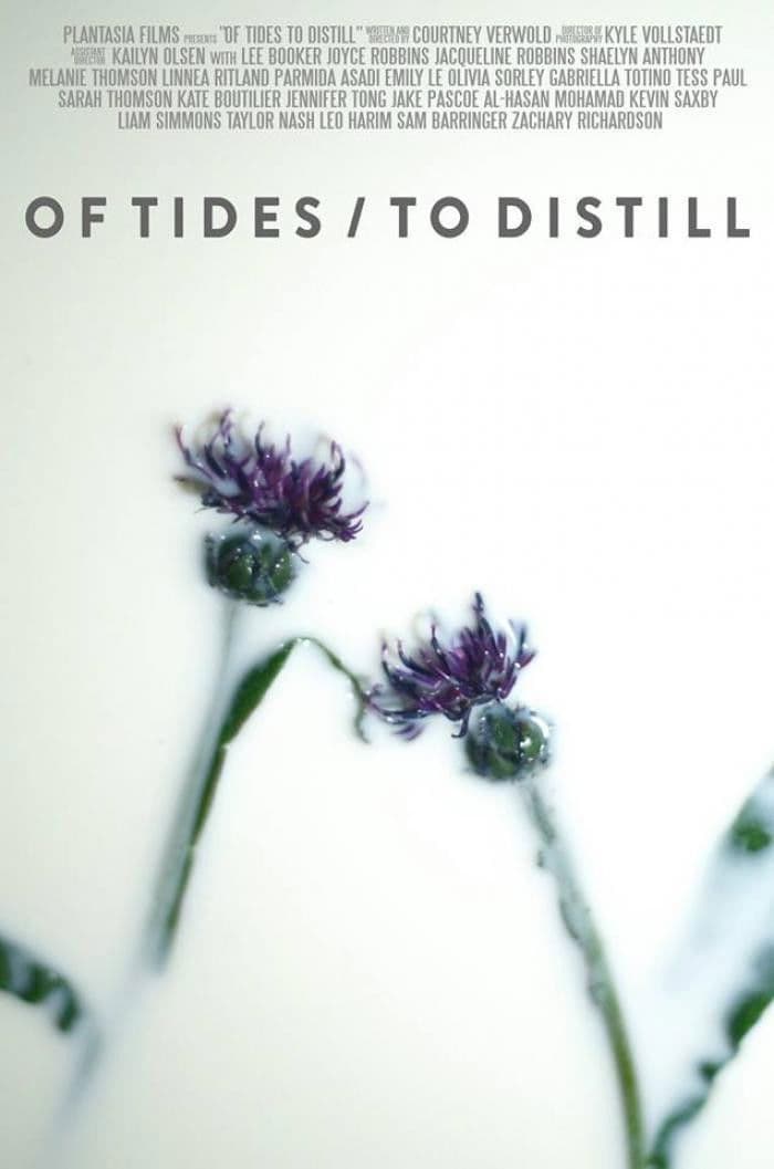 Poster backdrop for Of Tides/To Distill