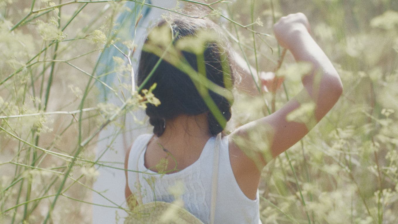 Poster backdrop for Judit