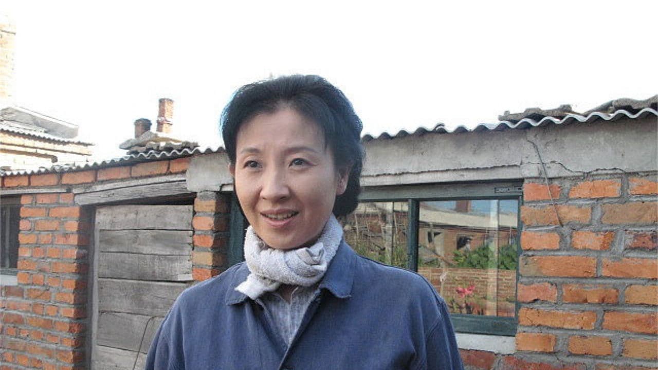 Poster backdrop for The Story of Lily