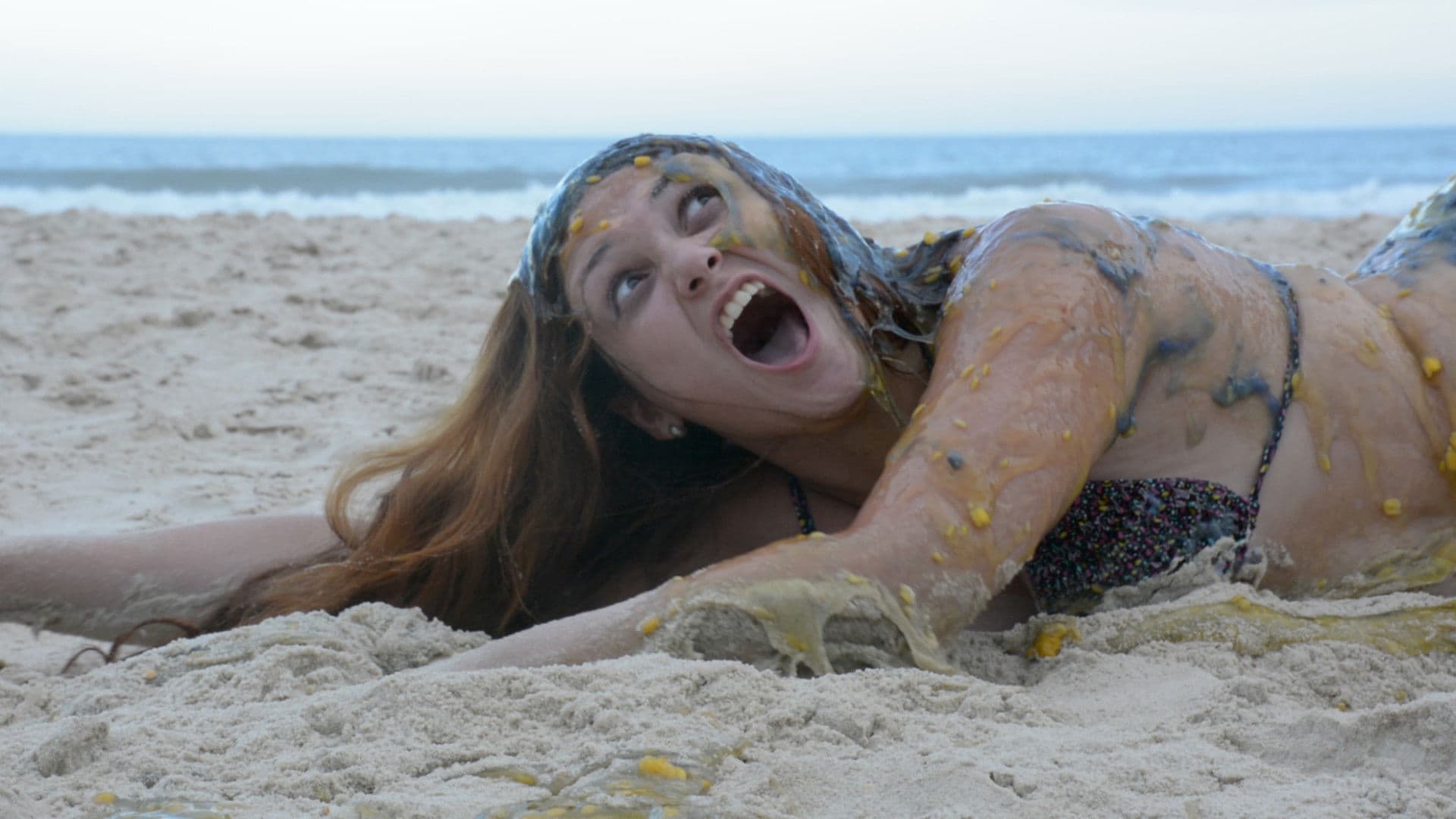 Poster backdrop for Pazucus: Island of Vomit and Despair