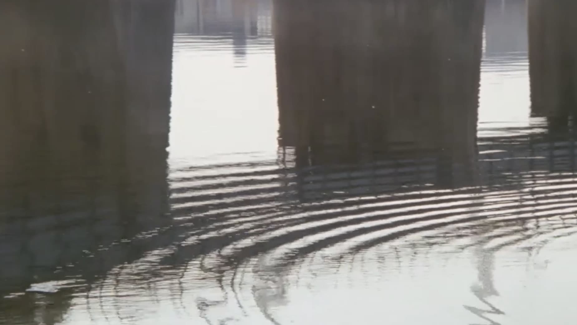 Poster backdrop for Ginza Neon District: A Woman's Climax