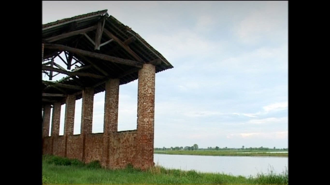 Poster backdrop for Visioni di case che crollano