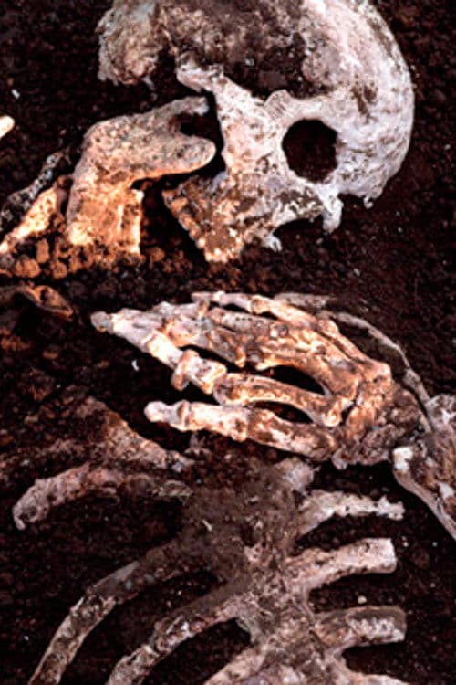 Poster backdrop for Munashiidake