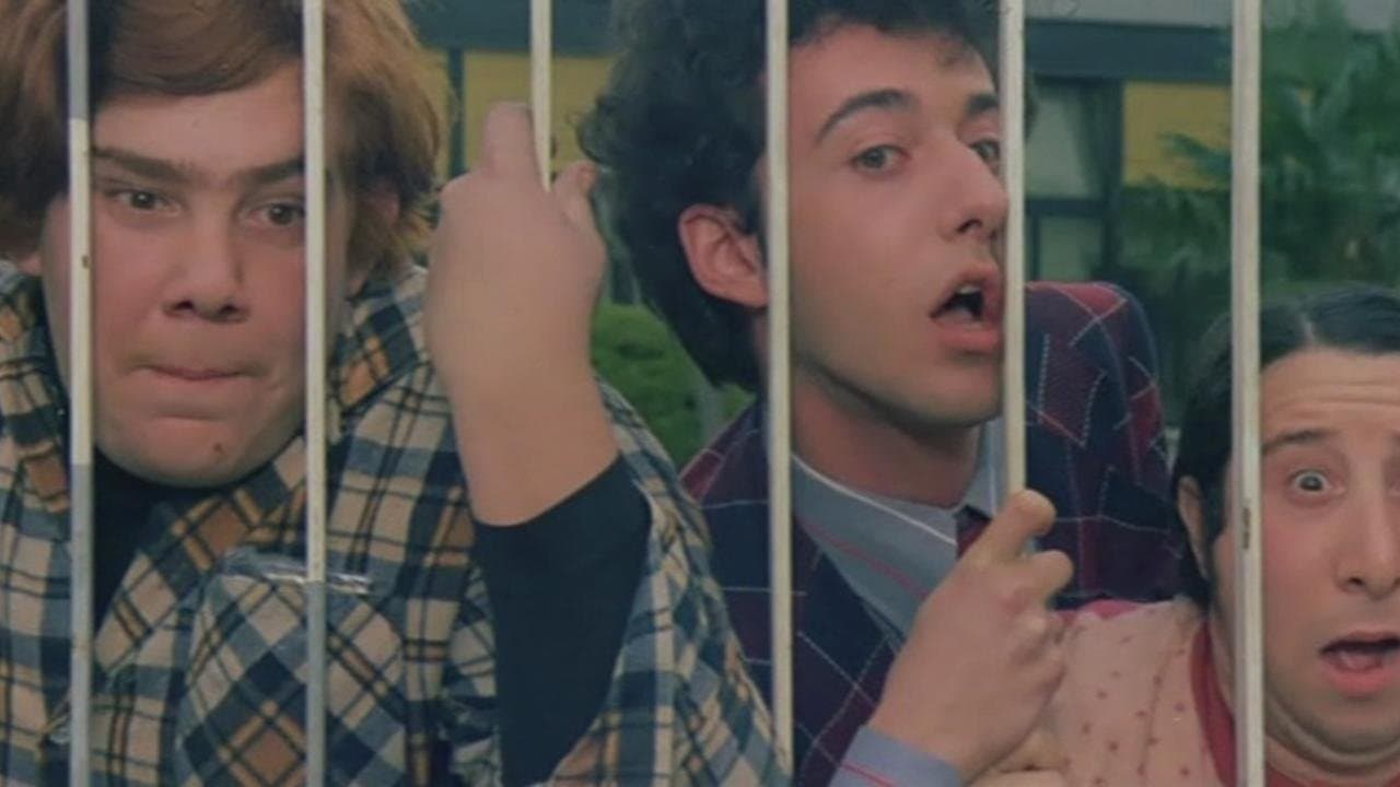 Poster backdrop for The School Teacher