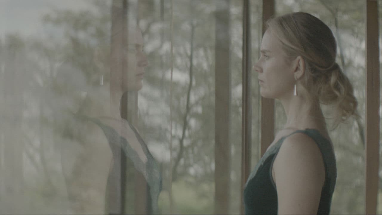 Poster backdrop for Lo Invisible