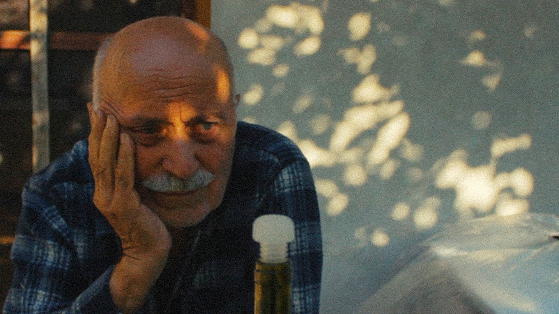 Poster backdrop for Cornelian Cherries