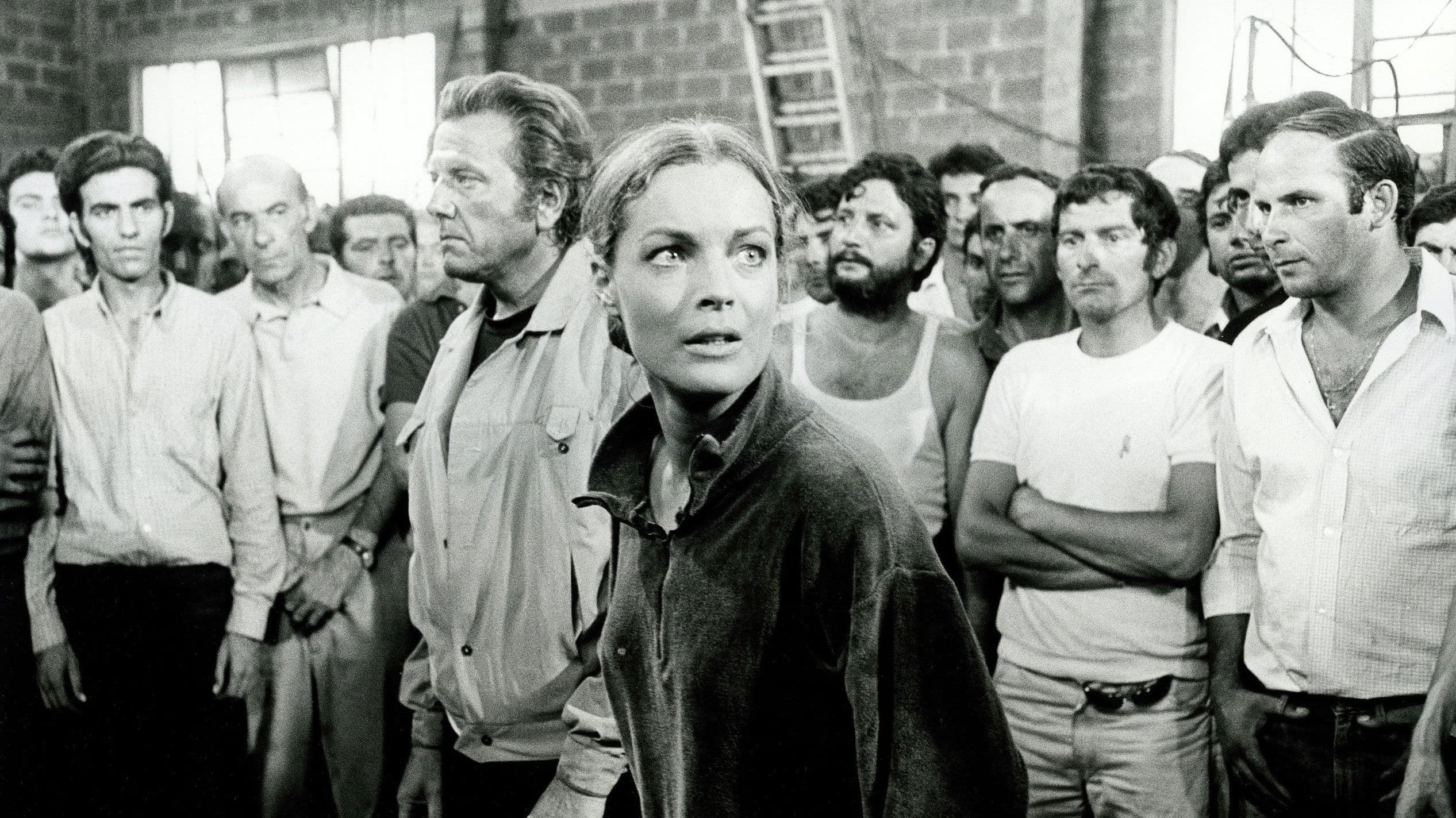 Poster backdrop for Lady Caliph