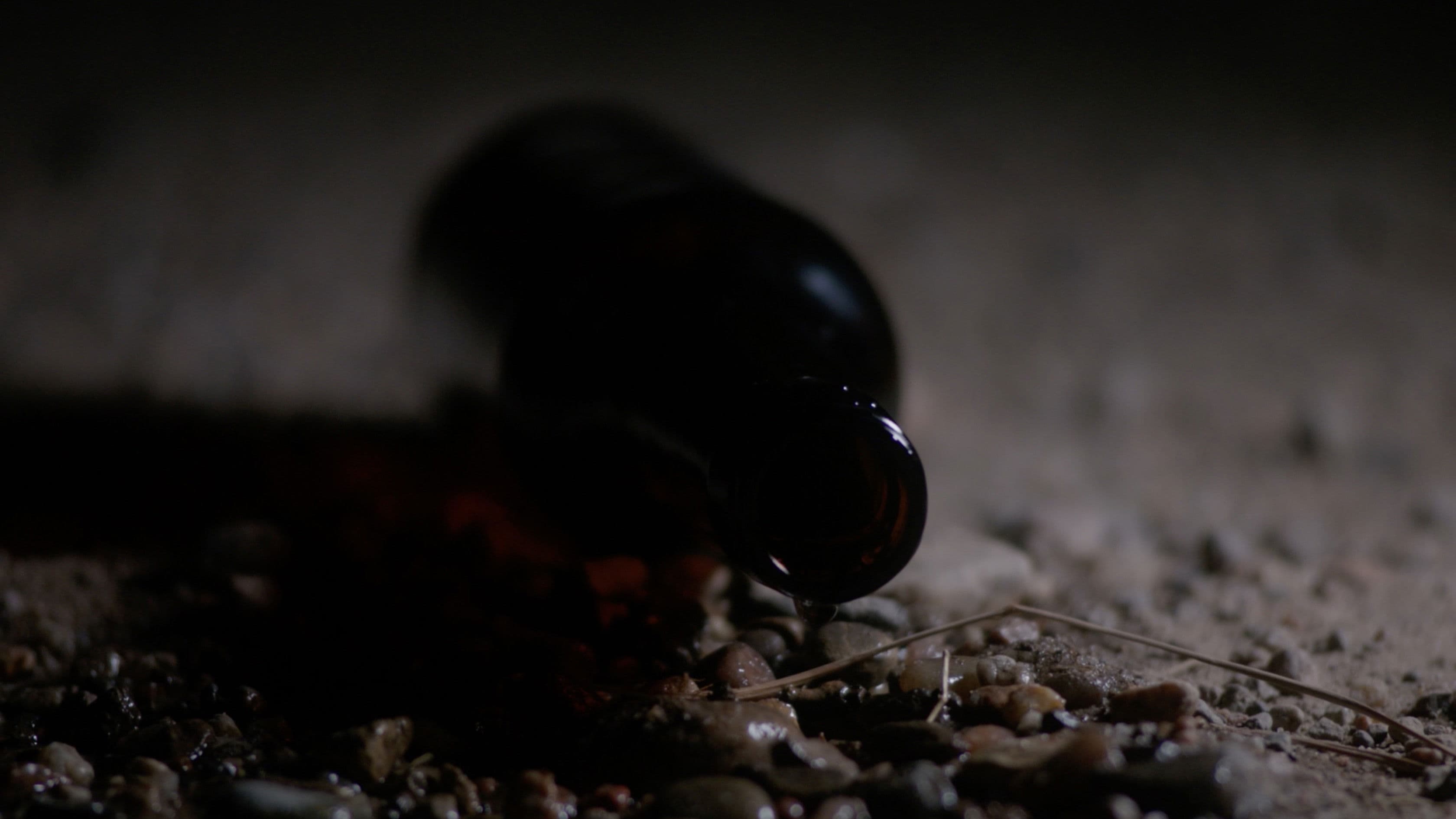 Poster backdrop for Our Shadow