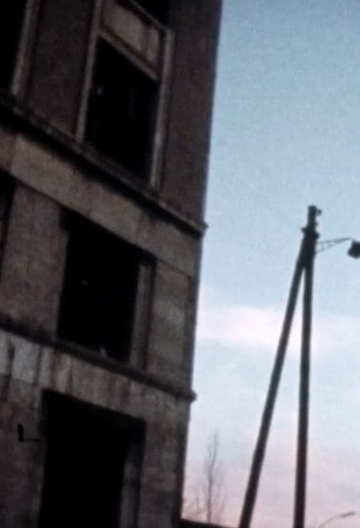 Poster backdrop for Ach Viola