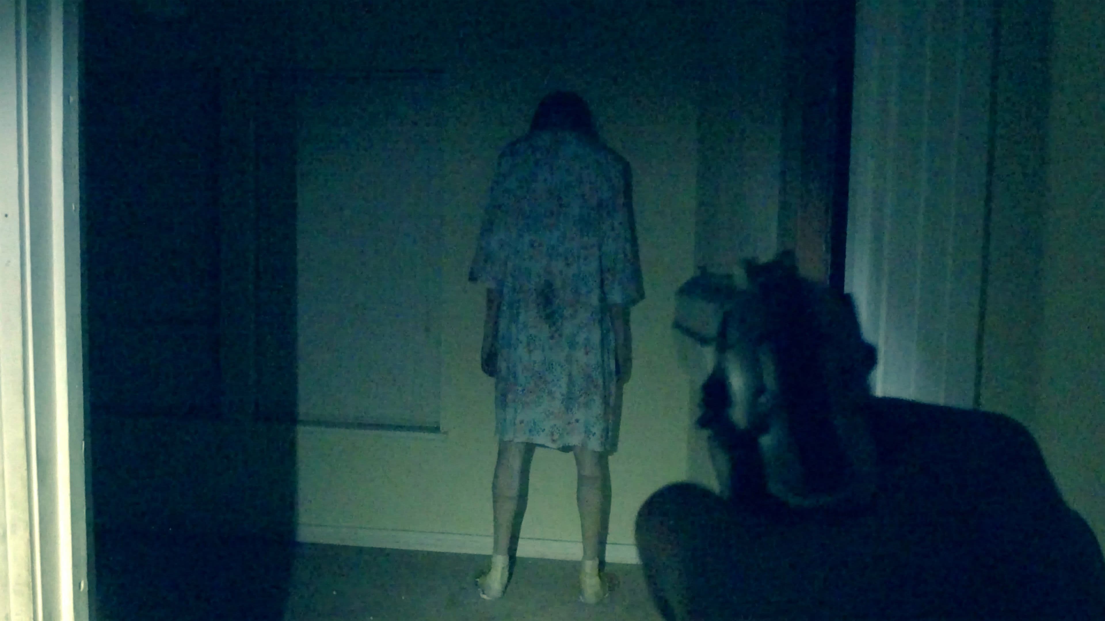 Poster backdrop for The Cop Cam