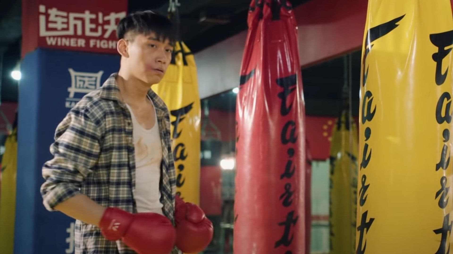 Poster backdrop for The Opposite Friends