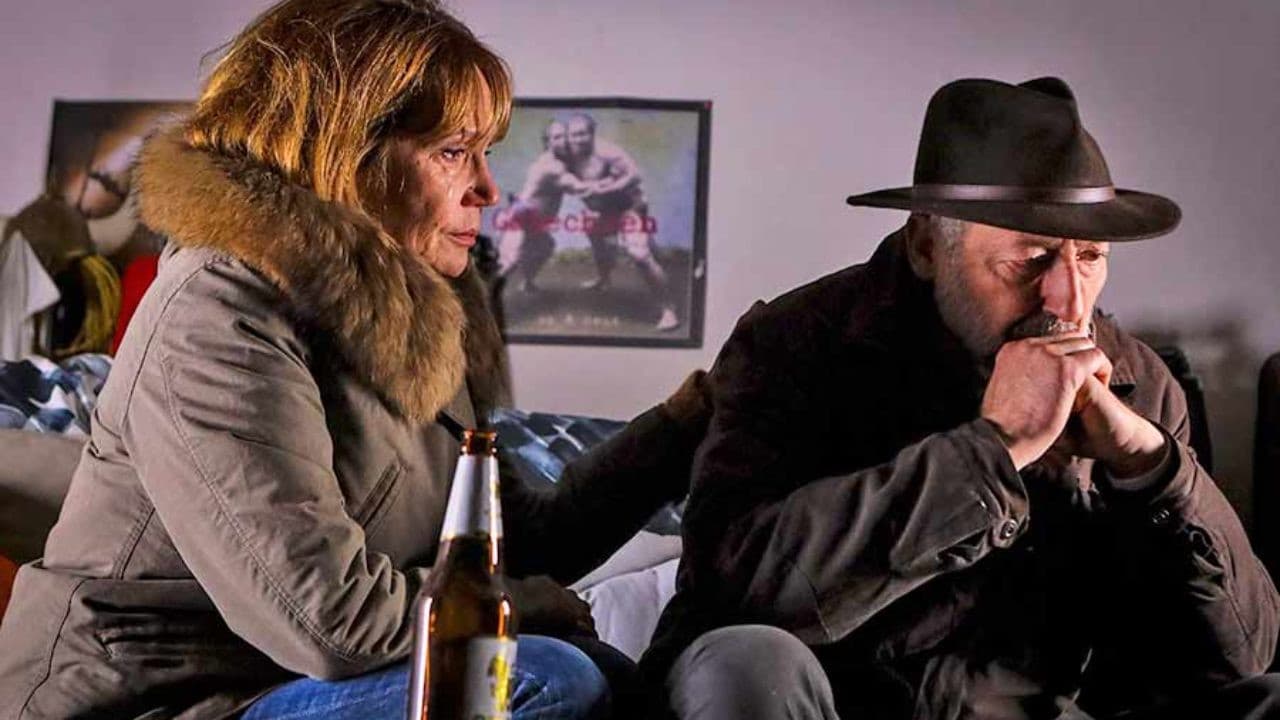 Poster backdrop for Newcomers