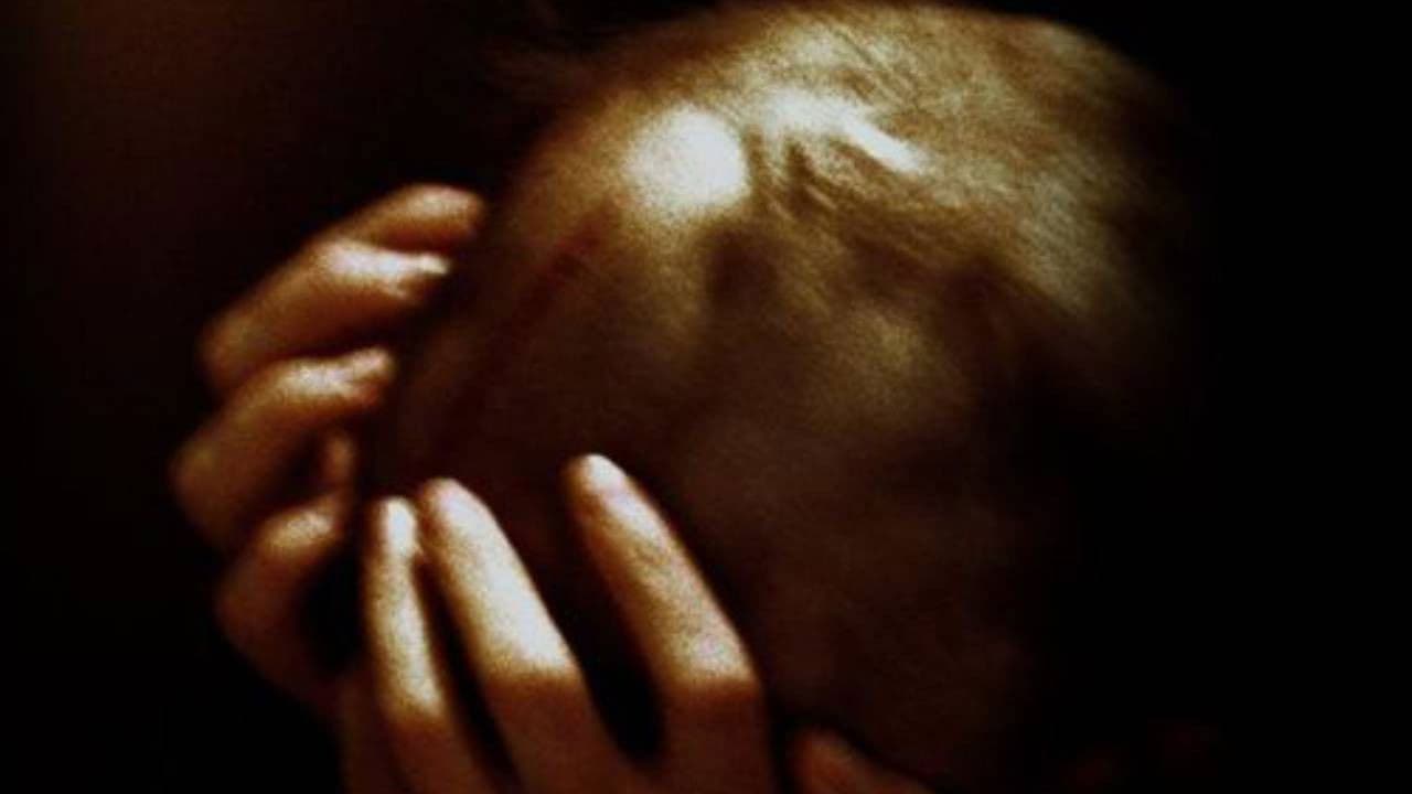 Poster backdrop for Mémoire morte