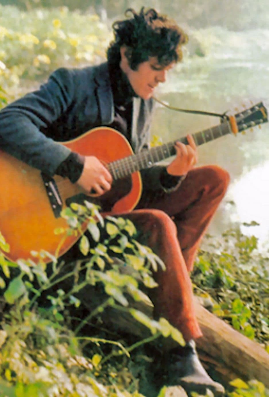 Poster backdrop for A Boy Called Donovan