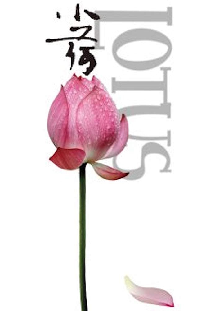 Poster backdrop for Lotus