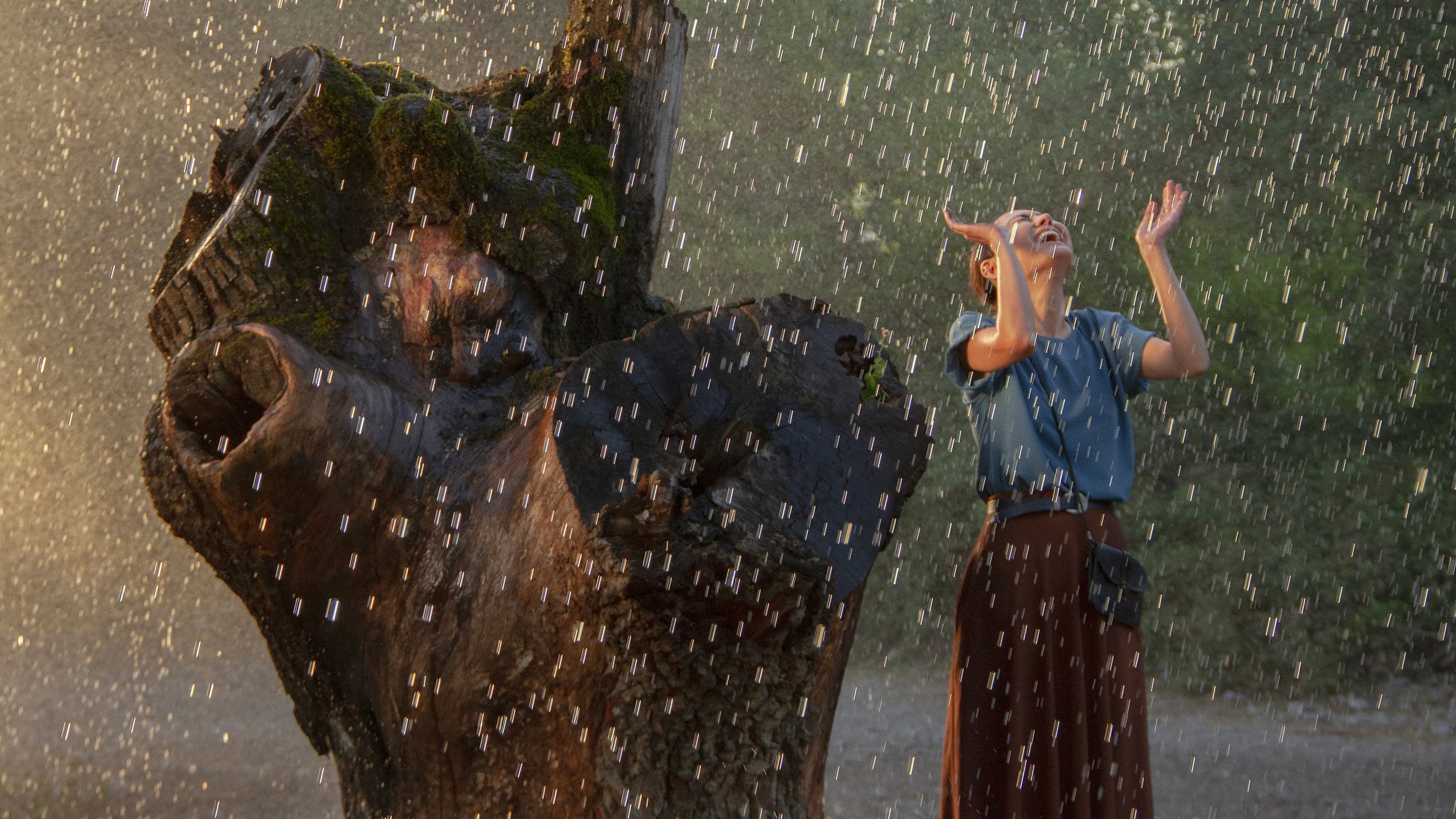 Poster backdrop for Maryam