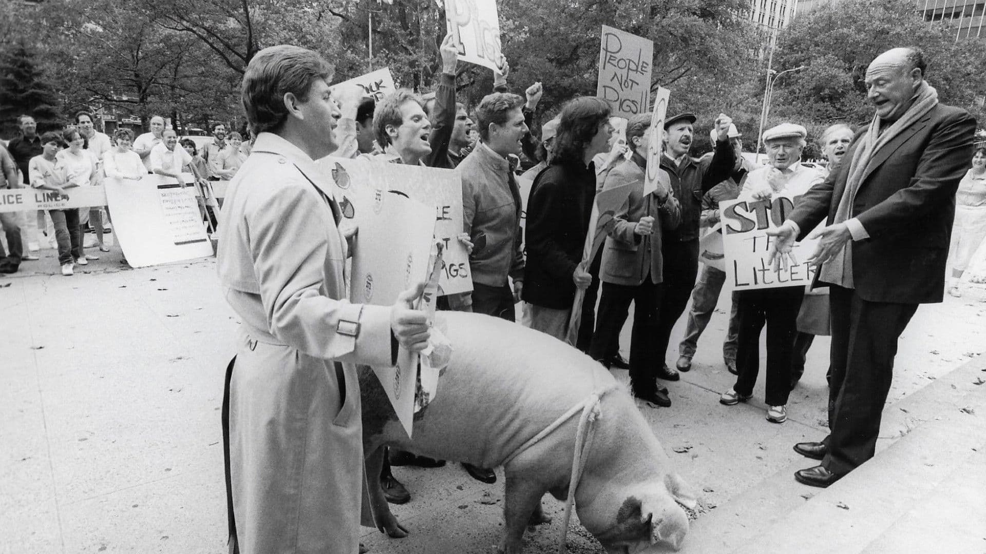 Poster backdrop for An Empire of Reason