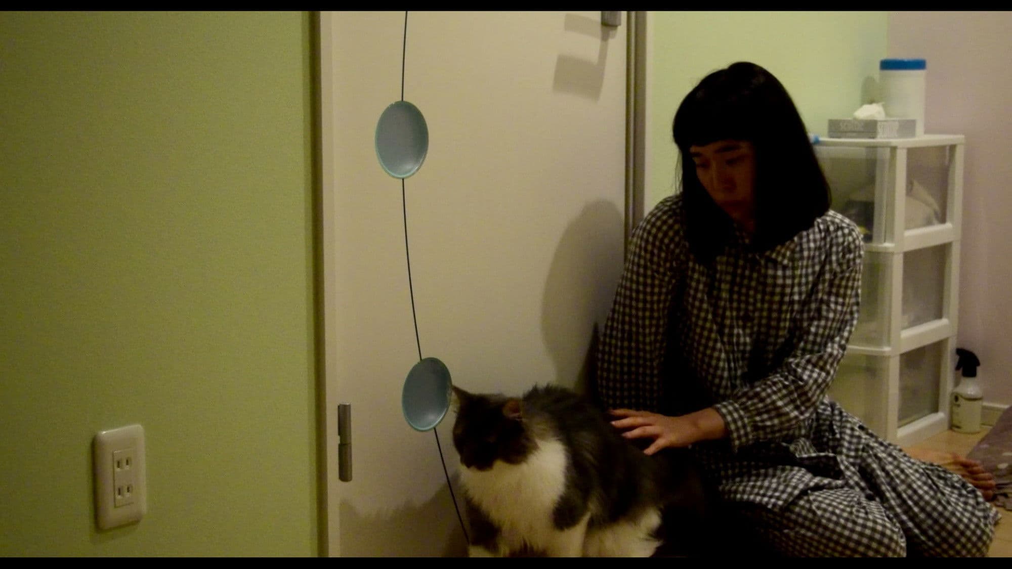 Poster backdrop for Alone Together