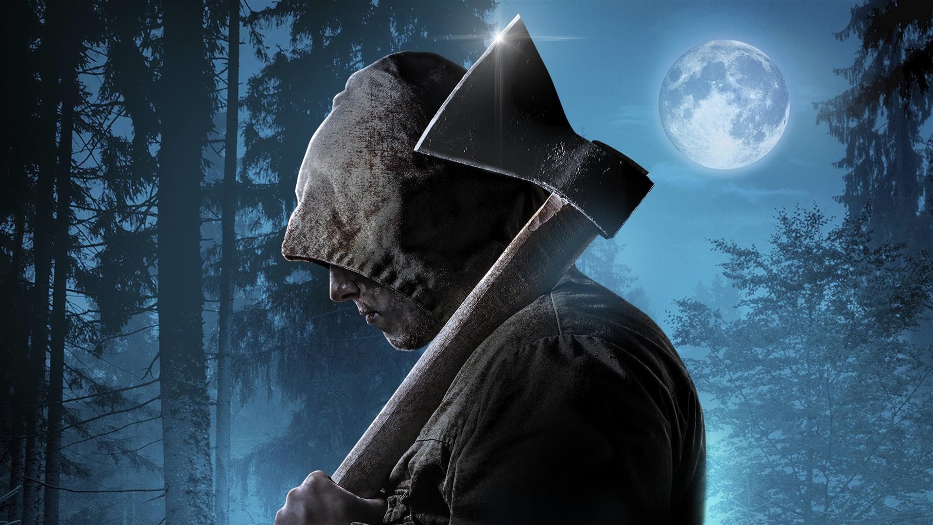 Poster backdrop for Why?