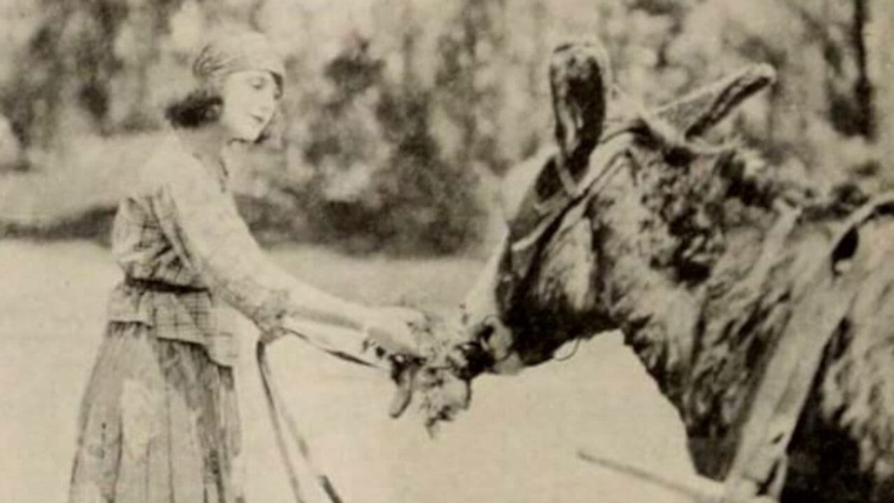 Poster backdrop for The Only Road