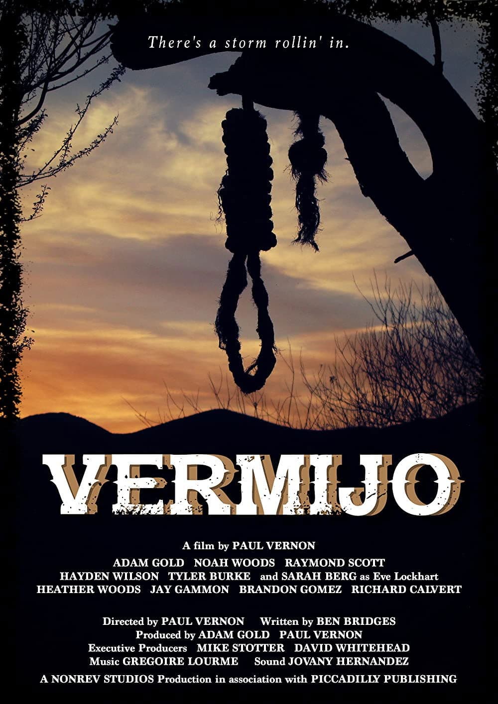 Poster backdrop for Vermijo