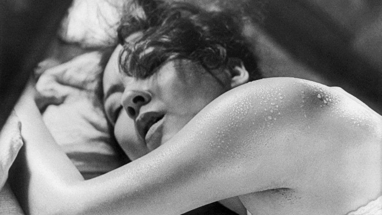 Poster backdrop for Sweet Sweat