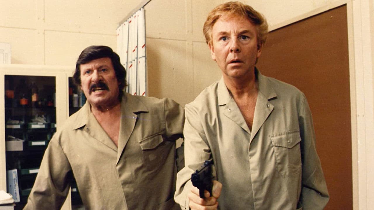 Poster backdrop for Zware jongens