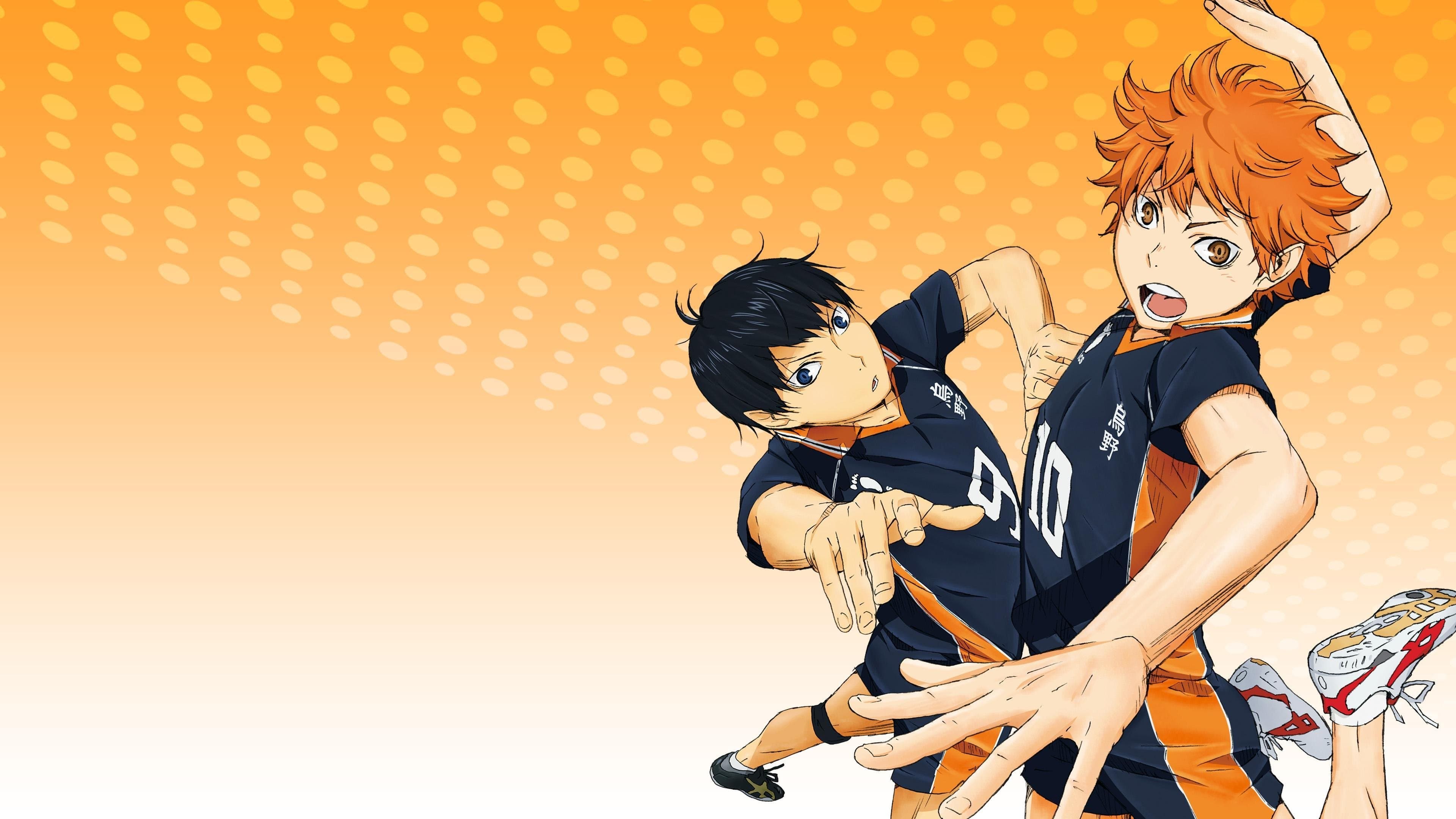 Poster backdrop for Haikyu!!