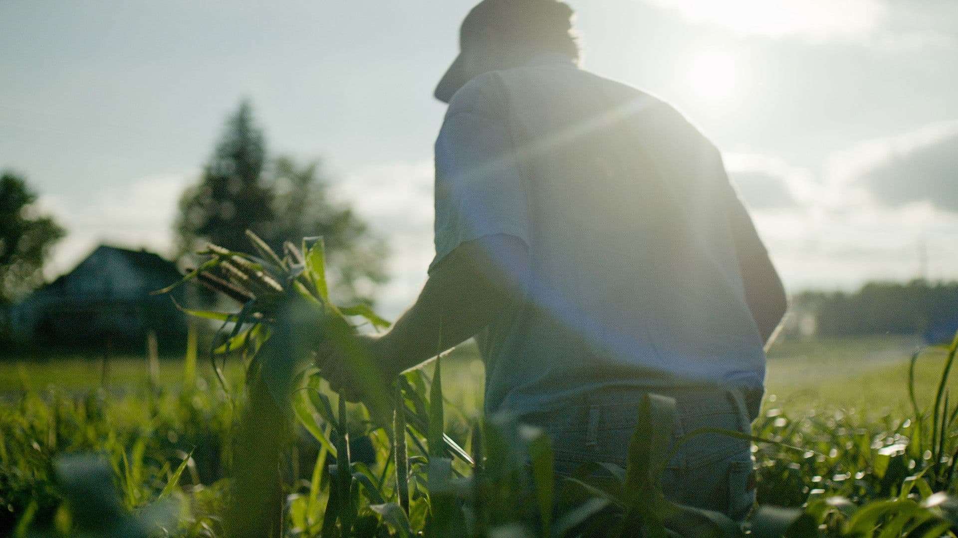 Poster backdrop for Wasted! The Story of Food Waste