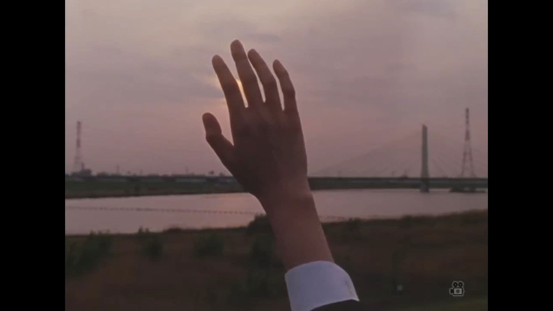 Poster backdrop for Somewhere on Earth