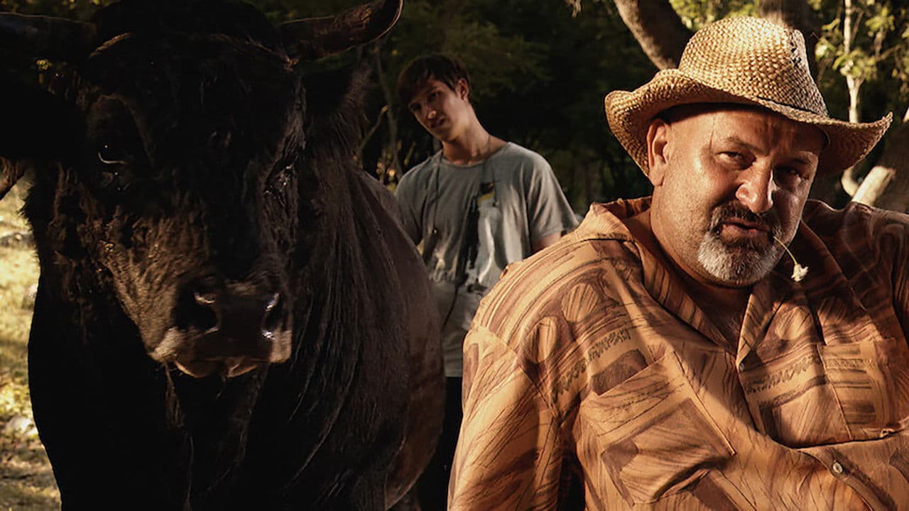 Poster backdrop for Sonja and the Bull