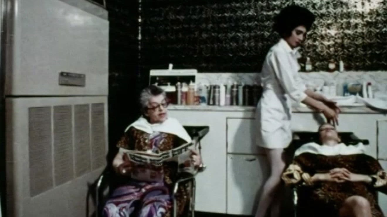 Poster backdrop for While the Cat's Away...