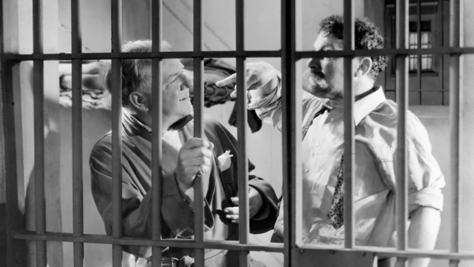 Poster backdrop for Man on the Flying Trapeze